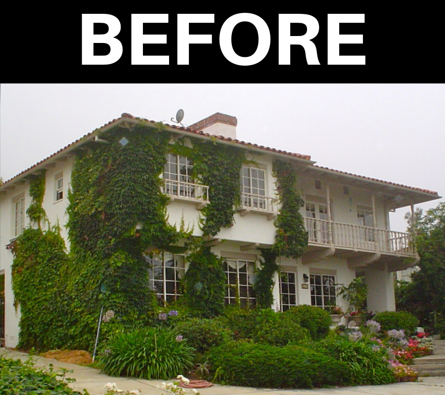From Overgrown to Clean and Modern - before