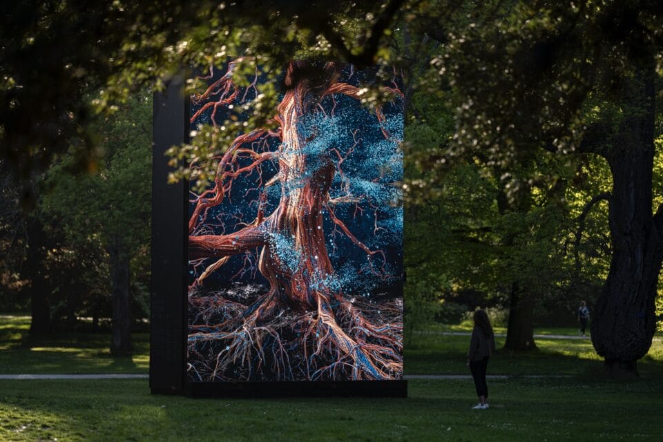 a person looks up at a large digital installation of a computer-animated oak tree, set in a botanical garden