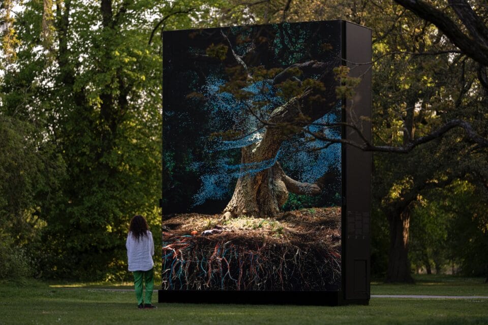 a person looks up at a large digital installation of a computer-animated oak tree, set in a botanical garden